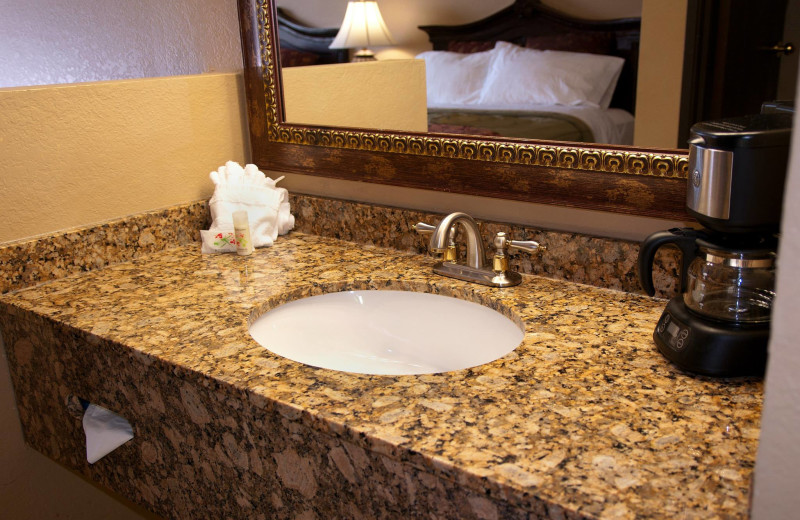 Guest bathroom at The Branson Stone Castle Hotel & Conference Center.