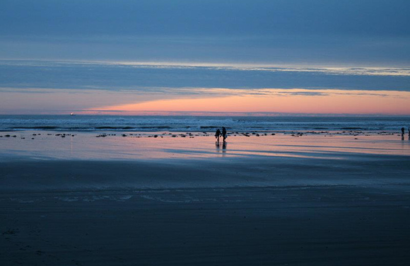 The beach at The Grey Gull.