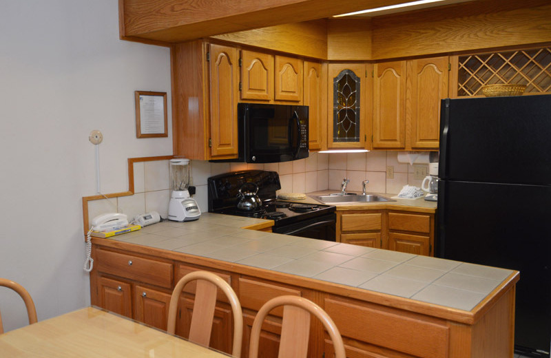 Rental kitchen at Frias Properties of Aspen - Alpenblick #11.