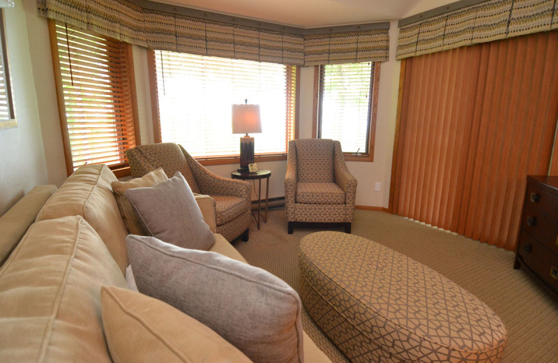 Living Room area - with sofa sleeper.