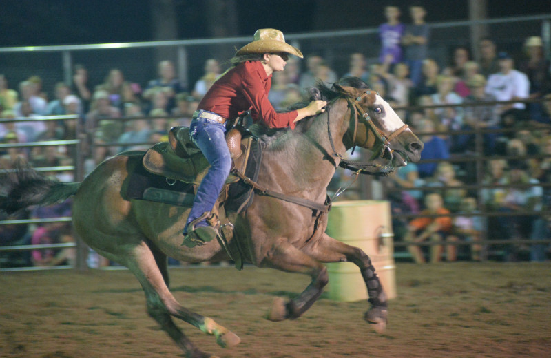 The Rodeo at Malibu Dude Ranch