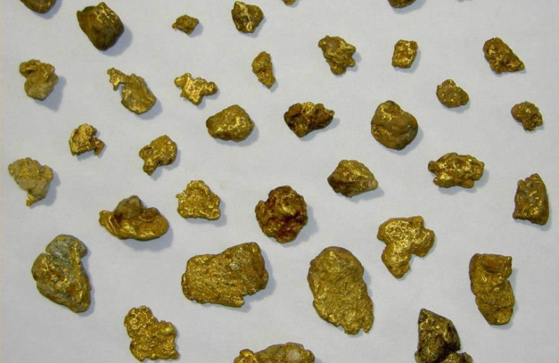 Gold nuggets at AkAu Alaska Gold & Resort.