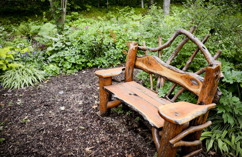 Bench at Tri Lake Timbers Resort.