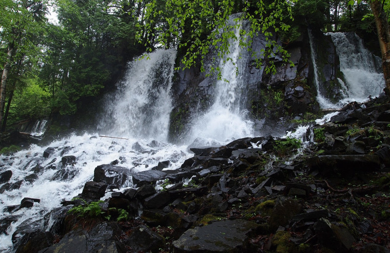 Waterfall at Heston's Lodge.