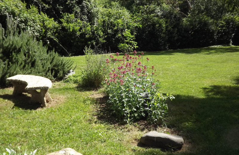 Meditation circle at Backyard Garden Oasis B 