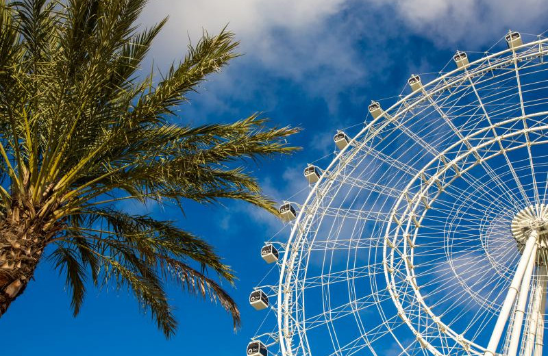 Orland Eye near Westgate Lakes Resort & Spa.