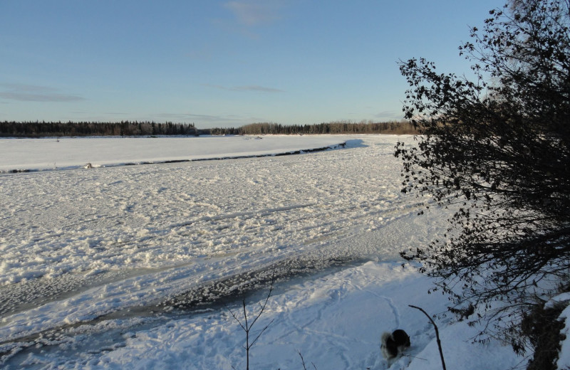 Frozen lake view at Northwoods Lodge.