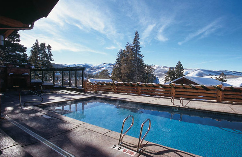 Outdoor pool at Stag Lodge.