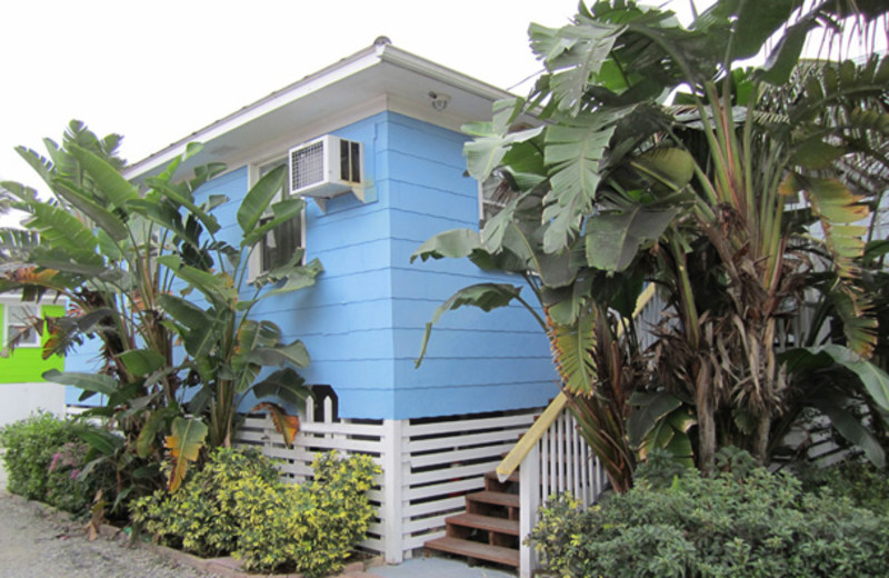 Cottage exterior at The Holiday Court.