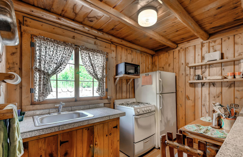 Cabin kitchen at Colorado Bear Creek Cabins.