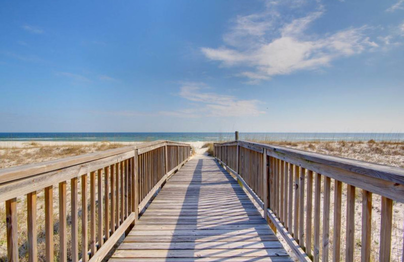 Boardwalk to beach at Needle Rush Point.