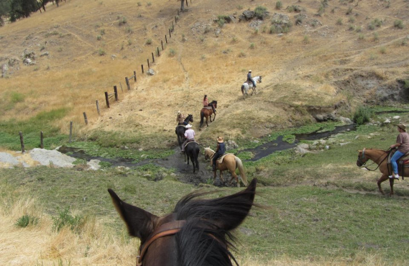 Horseback riding at Rankin Ranch.