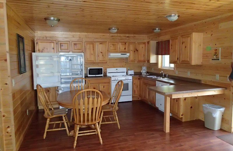 Cabin kitchen at Birch Forest Lodge.