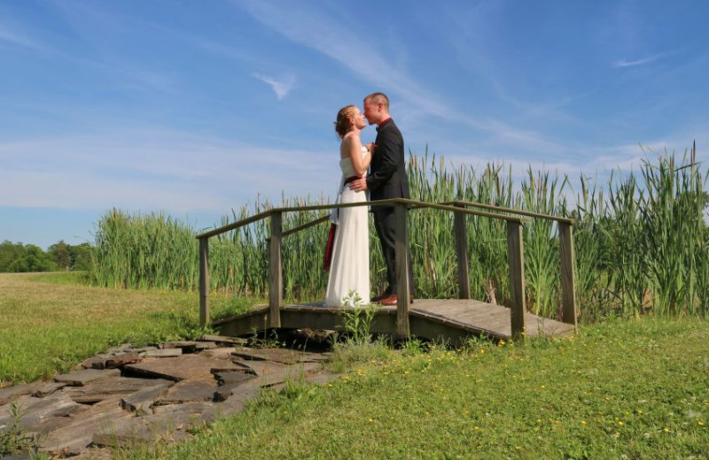 Weddings at Buttonwood Grove Winery