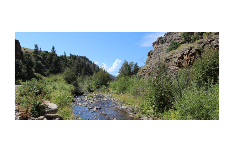 Scenic view at Rimrock Canyon Ranch.