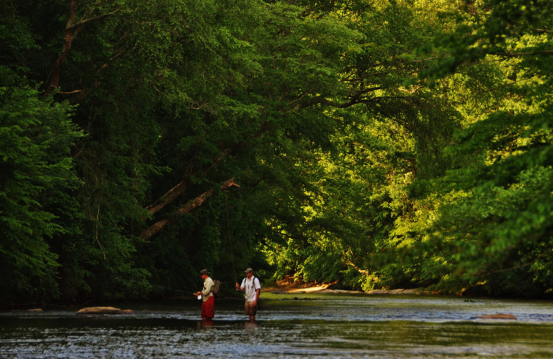 Fishing at Singletree Gun & Plough.