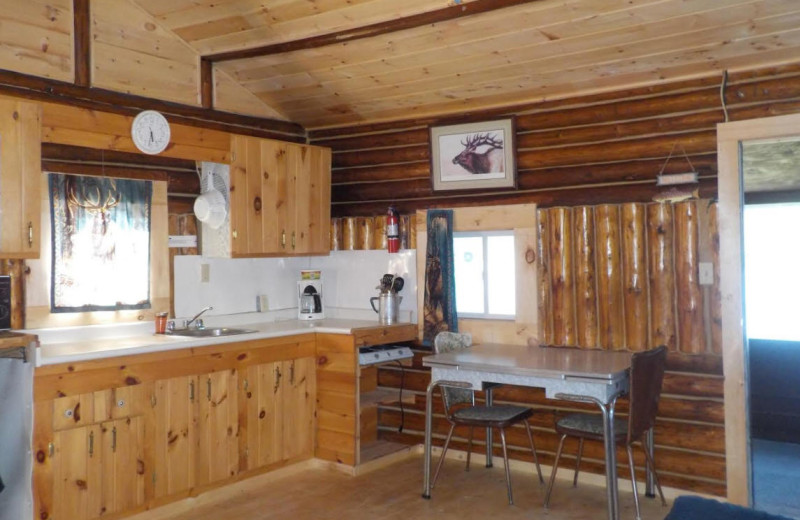 Cabin kitchen at Owls Nest Lodge.