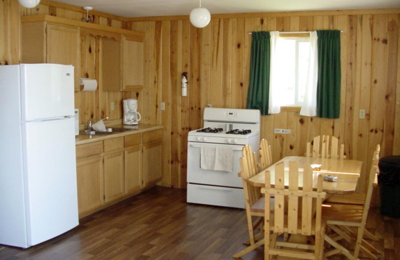 Cabin kitchen at Pipestone Point Resort.