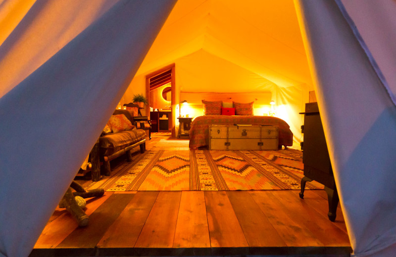 Guest room view at Clayoquot Wilderness Resort. 