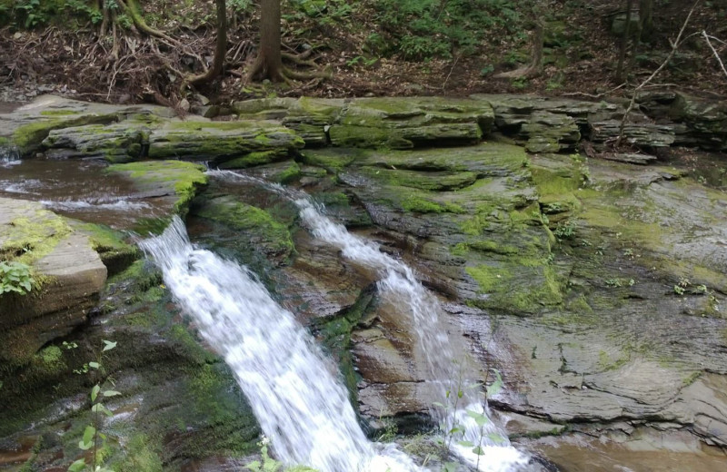 Waterfall at Cold Spring Lodge.