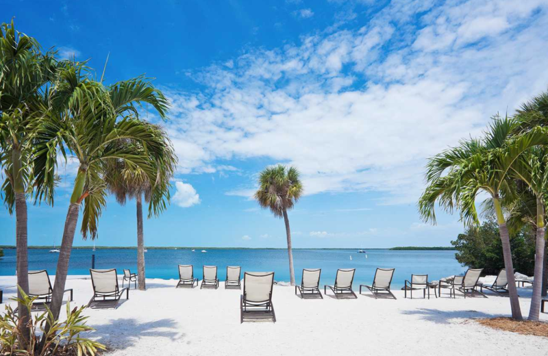 The beach at Hampton Inn at Manatee Bay.