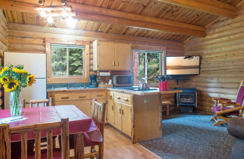 Cabin interior at North Forty Resort.