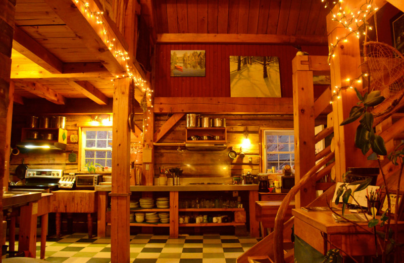 Lodge kitchen at Wolf Den Hostel and Nature Retreat.