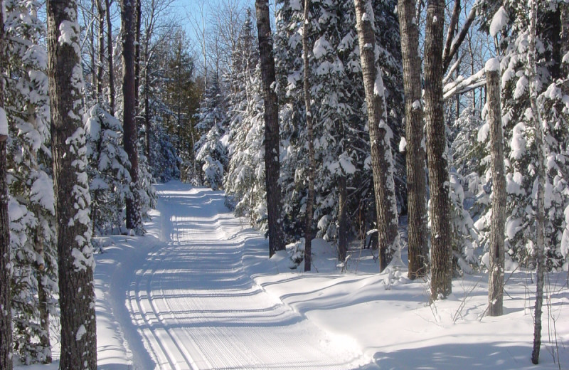Winter ski trail at Golden Eagle Lodge.