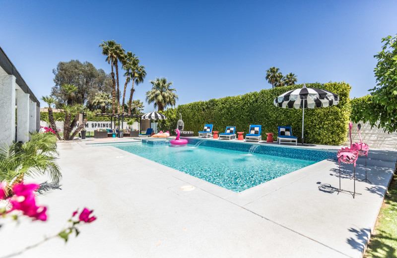 Rental pool at Altez Vacations - Palm Springs.