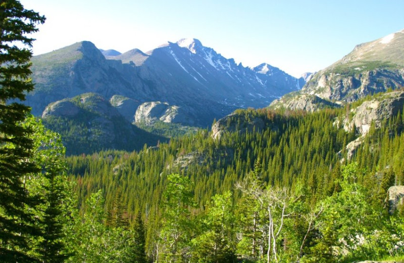 Mountains near Streamside on Fall River.