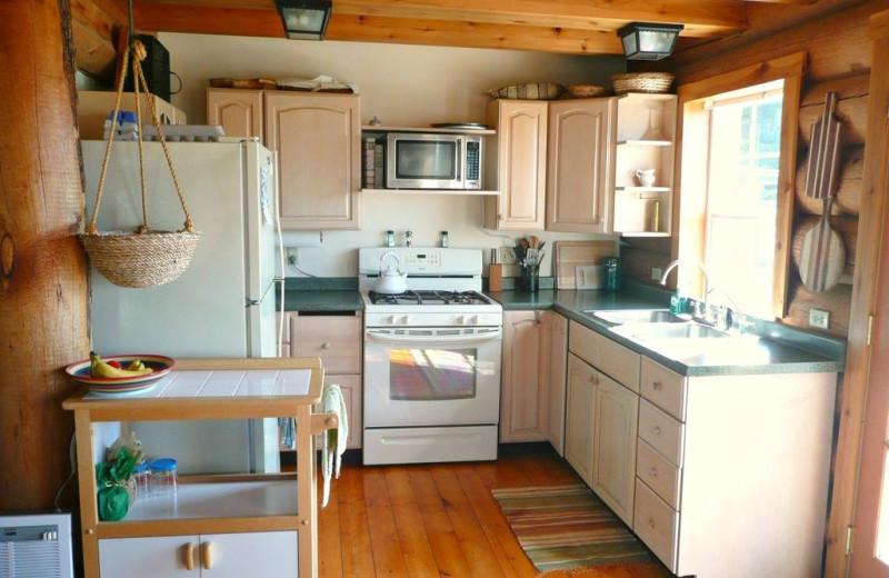 Cabin kitchen at Olympic View Cabins.