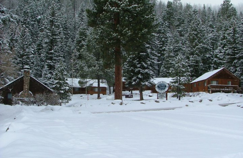 Winter time cabins at Lone Wolf Cabins and Getaway.