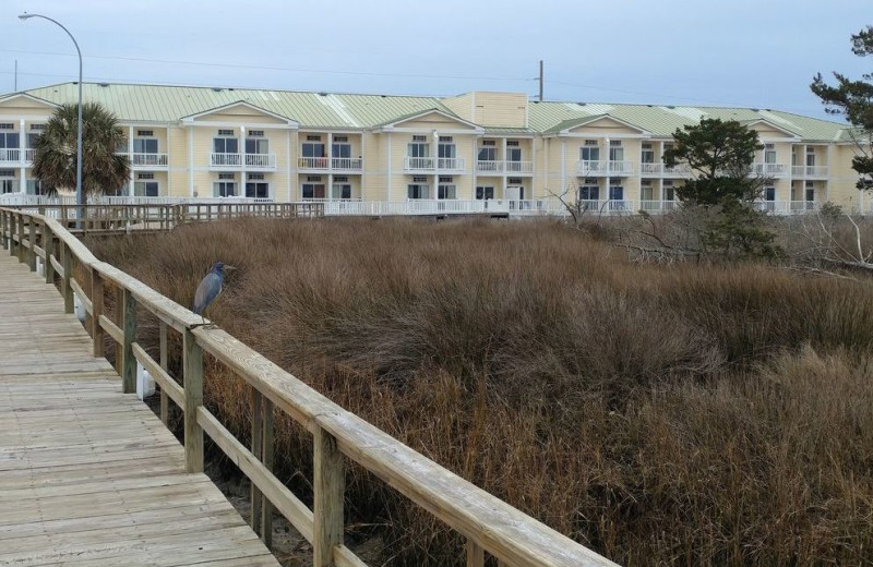 Exterior view of Palm Suites Hotel.