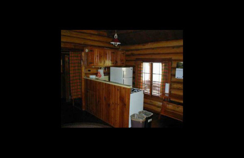 Cabin kitchen at Nelson's Resort.