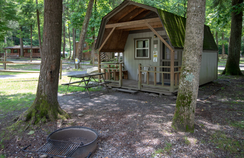 Cabin exterior at Yogi in the Smokies.