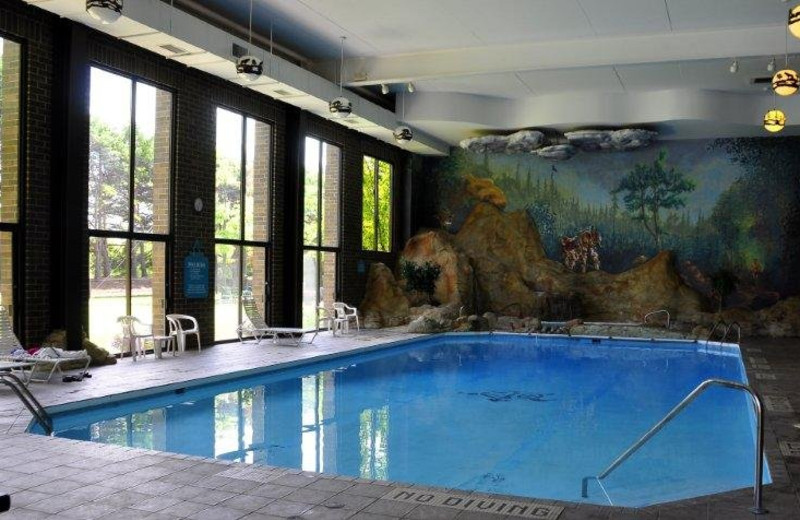 Indoor pool at Sawmill Creek Resort.