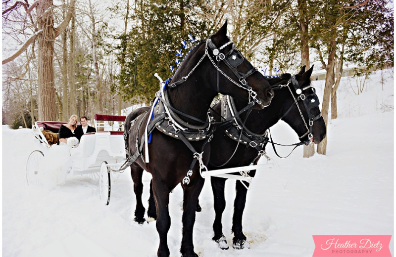 Weddings at Oakwood Resort.