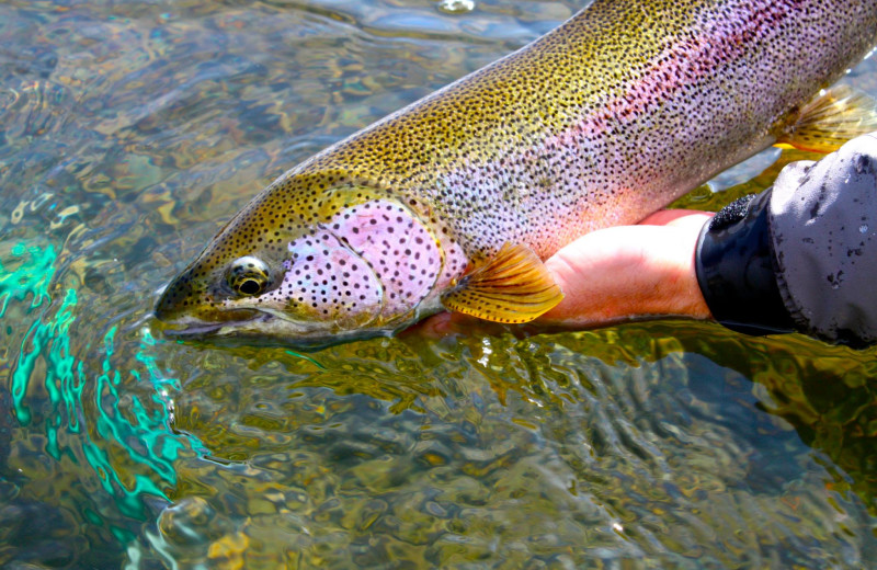 Fishing at Alaska Rainbow Lodge.