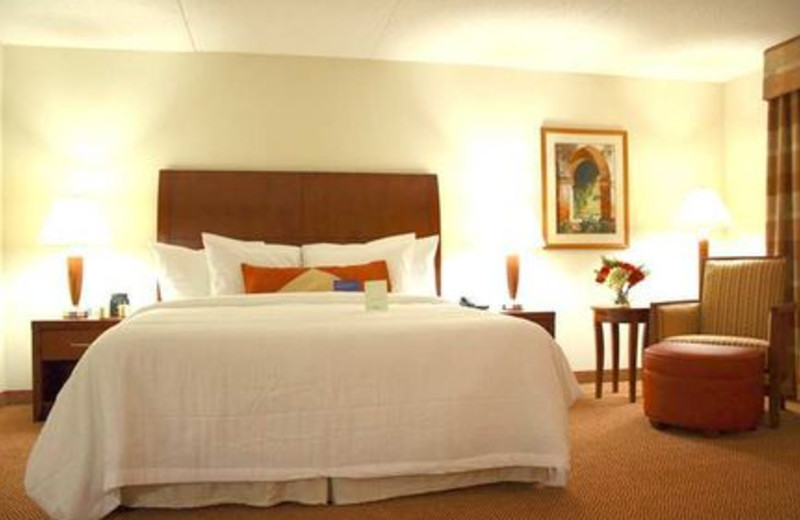 Standard King Room at Hilton Garden Inn Myrtle Beach