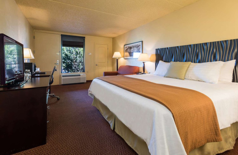 Guest room at Best Western Plus Inn of Sedona.