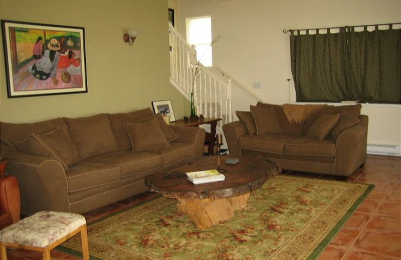 Cabin living room at Idaho Cabin Keepers.