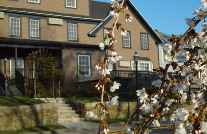 Exterior view of Sea Rose Suites.