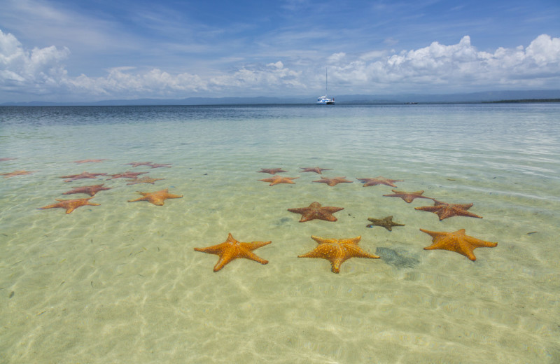 Beach at Bocas Bali Resort.