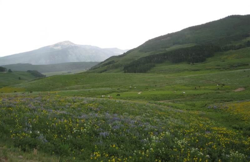 Mountain view at Old Town Inn.