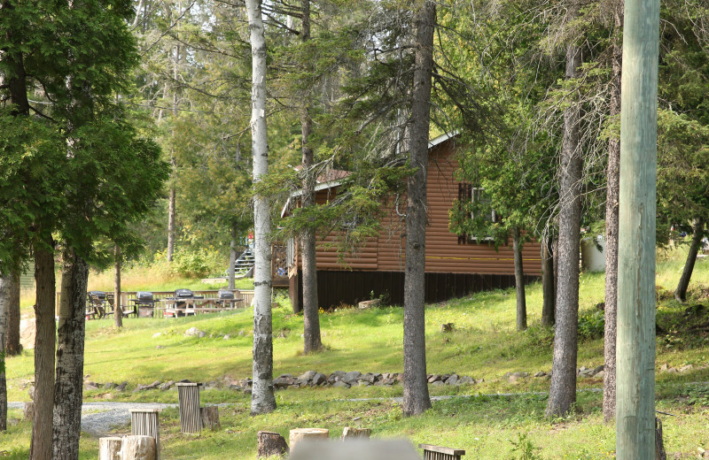 Cabin exterior at Olive the Lake.