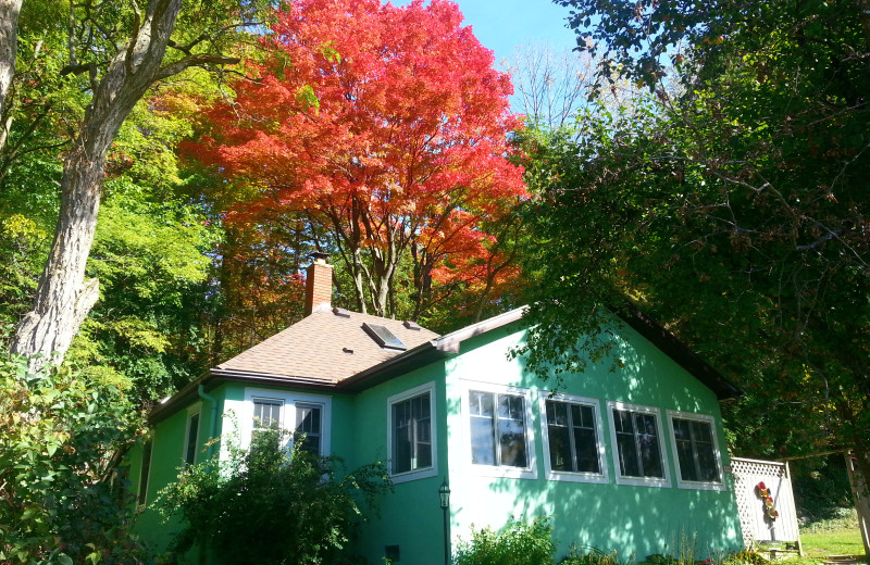 Cottage Rentals at Port Albert Inn and Cottages