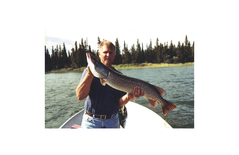 Fishing at Pine Point Lodge & Outposts.