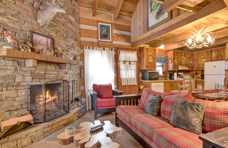 Rental living room at Vacation Rental Pros - Gatlinburg.