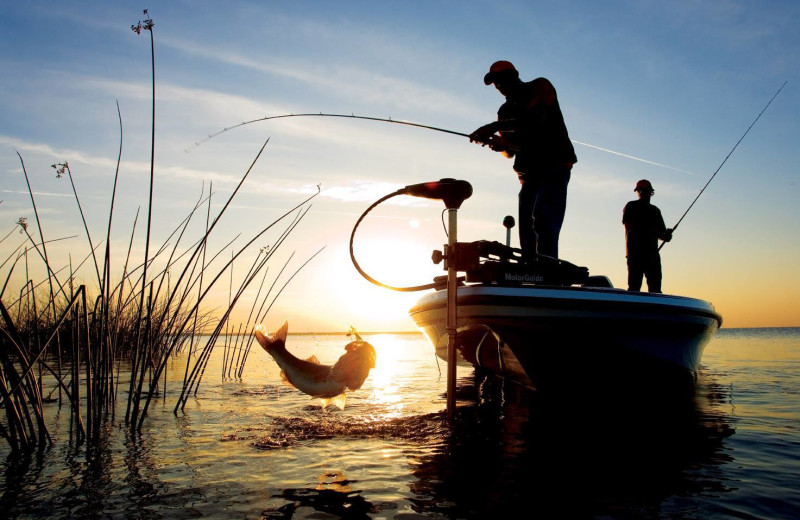 Fishing at Big Cypress Lodge.