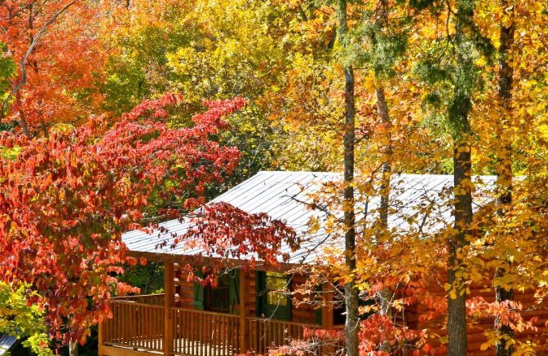 Cabin View at Hidden Mountain Resorts